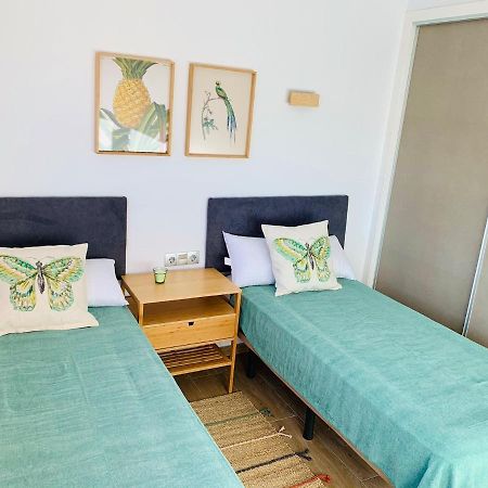 Apartamento Con Solarium Villa Amalia Torrevieja Exteriör bild